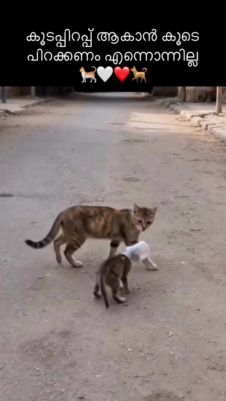 @๐ฅ๐ถ๐ถ๐
๐ _๐๐๐น