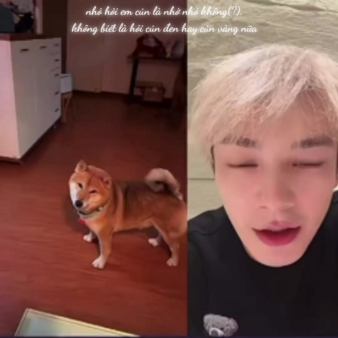 @Ch&uacute; C&uacute;n Đen Nhỏ