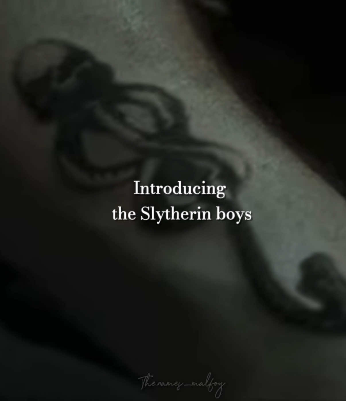 @Malfoy_Draco_Malfoy ⚯ ͛