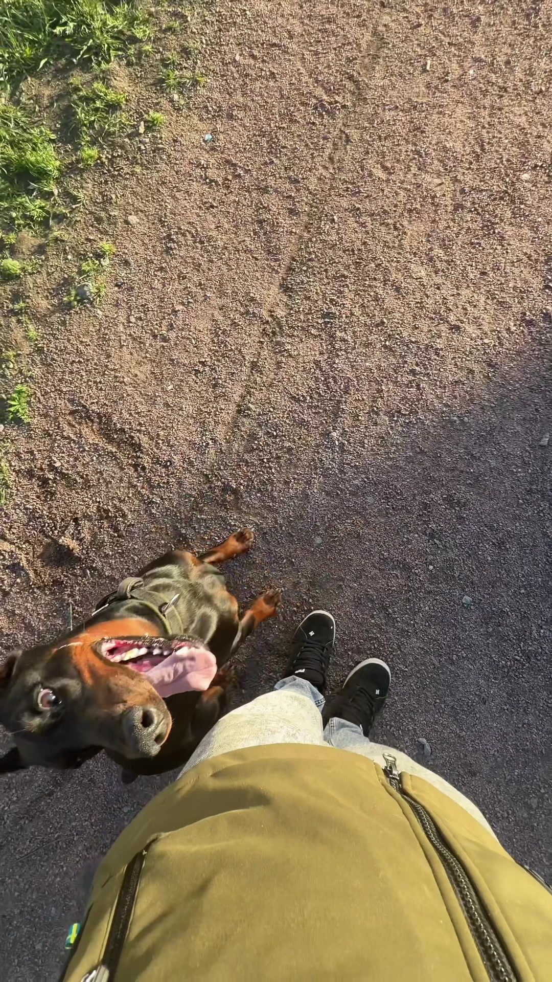 @Djudi_Doberman