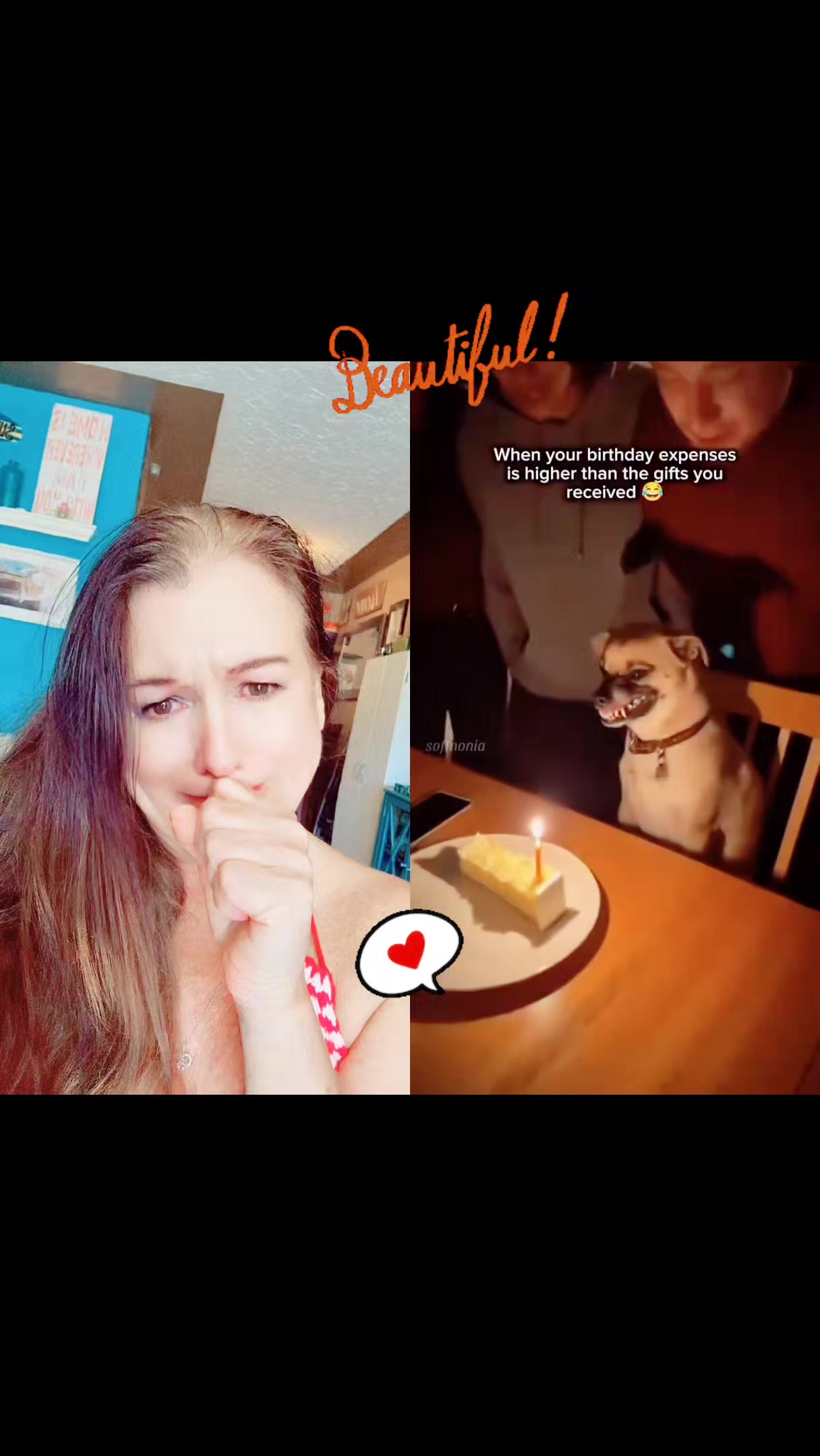 @Robynhood🇨🇦🇨🇦🇨🇦
