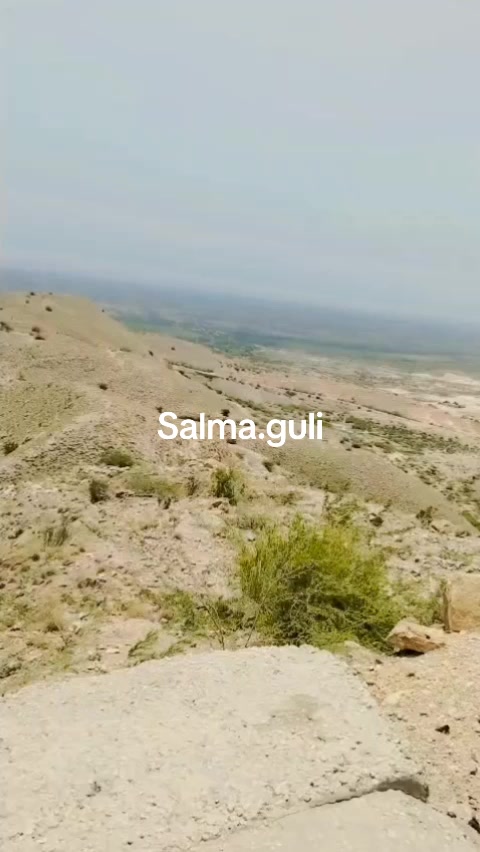 @Salma guli