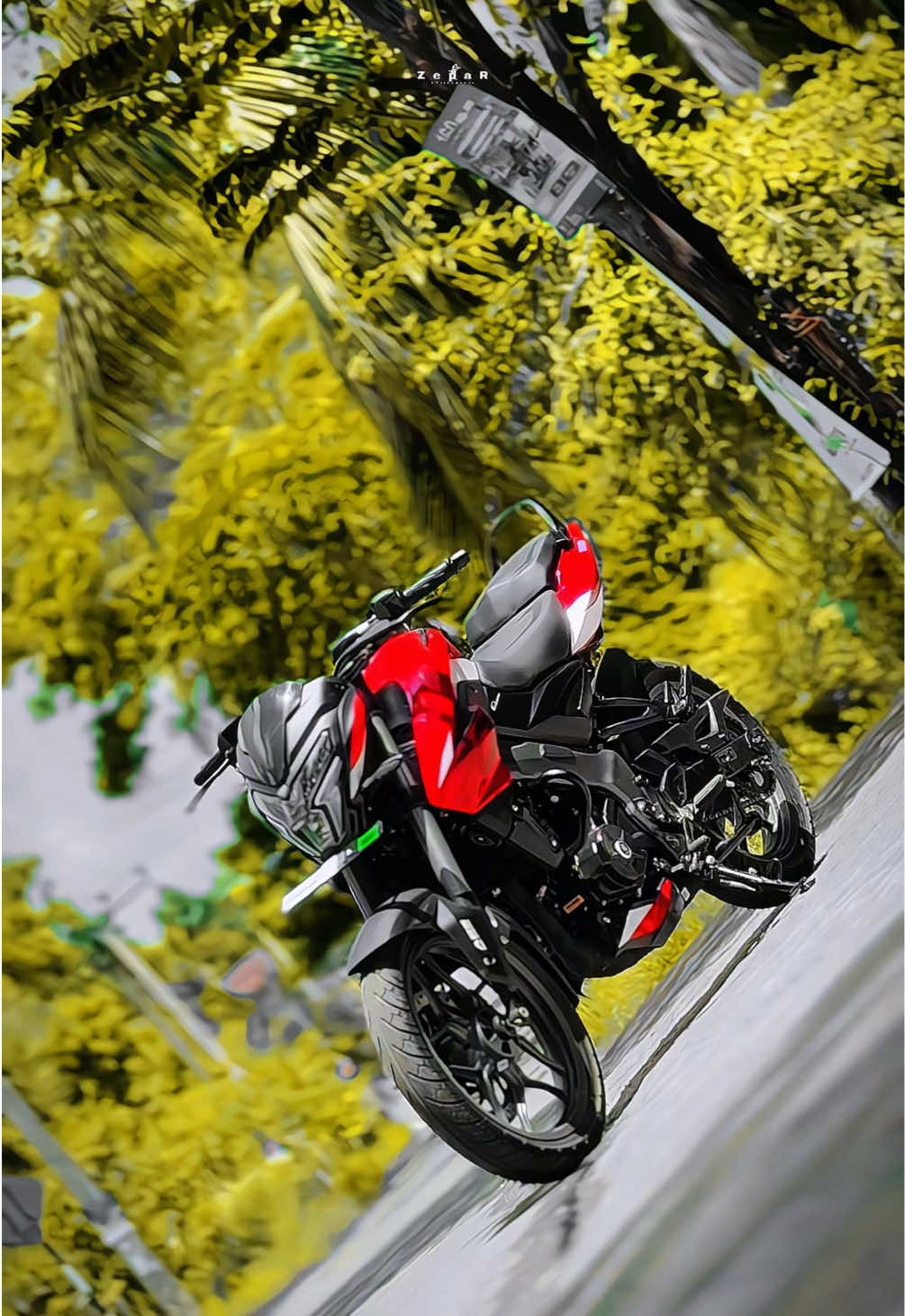 @𝙕𝙚𝙥𝙖𝙍_📸
