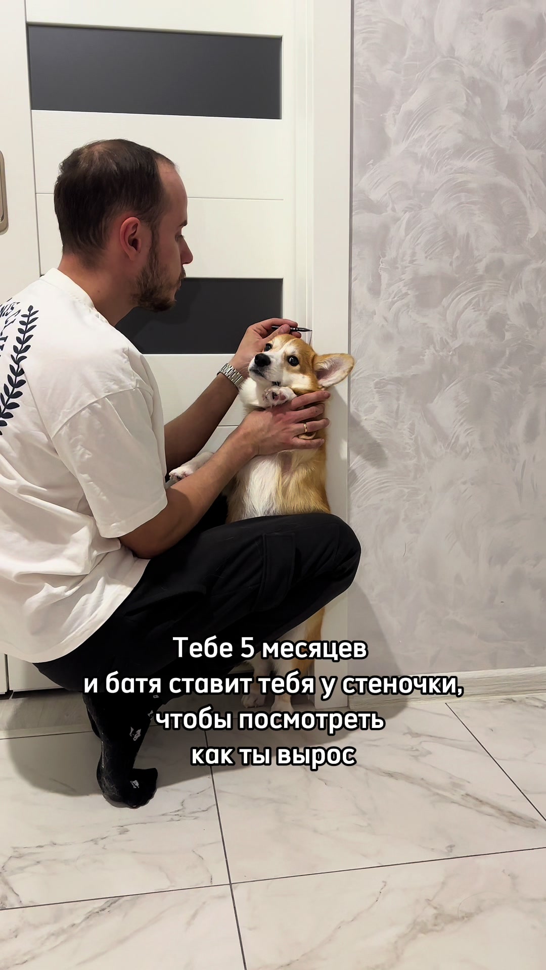 @corgimom.alntz