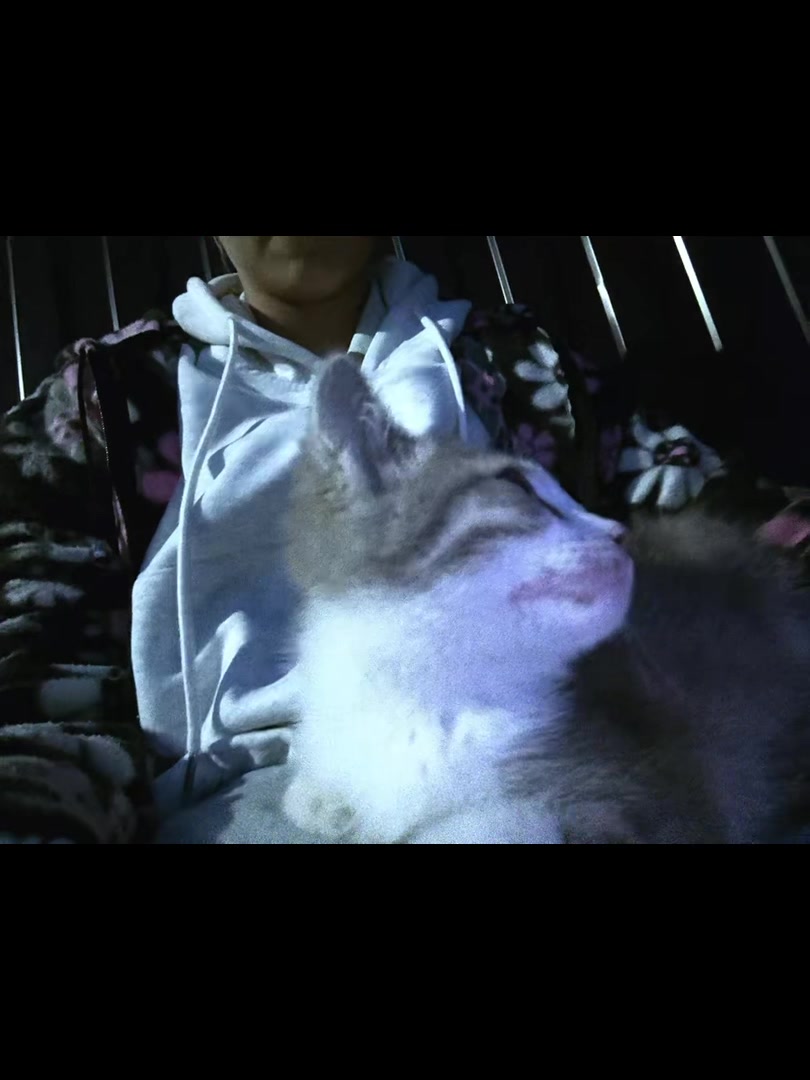 @🌹GERDA,BUT ORDINARY🌹