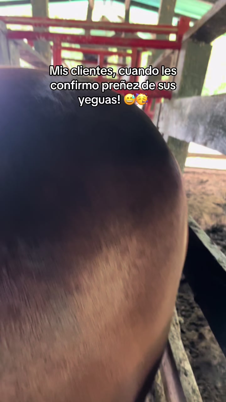 @Dra. Jessica Casas 👩🏻&zwj;⚕️🐴