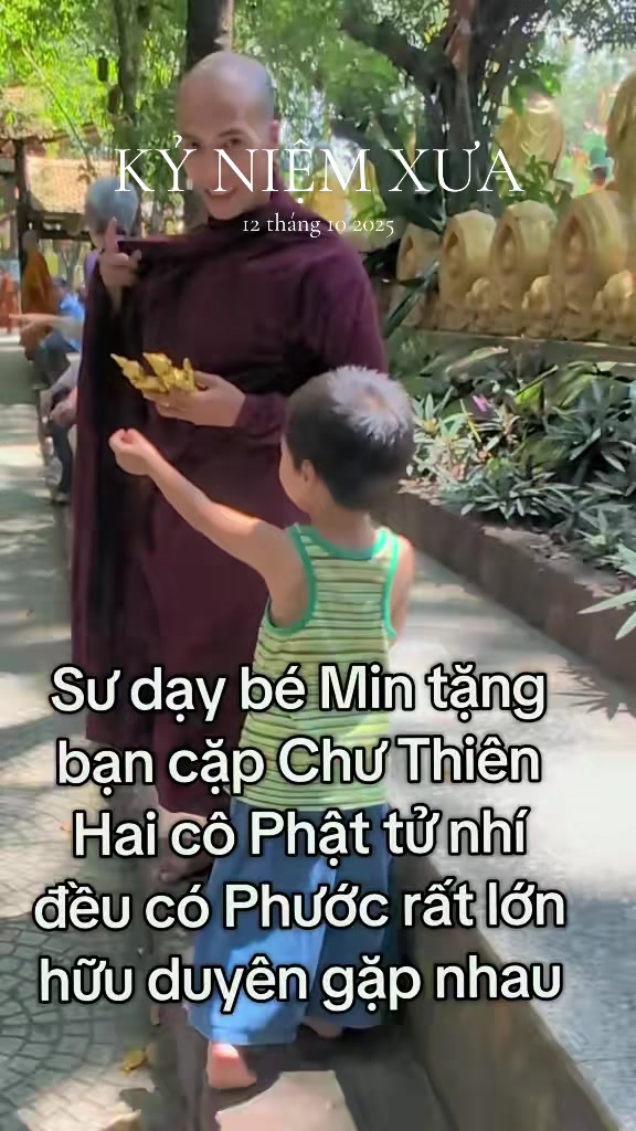 @TK Bảo &Acirc;n