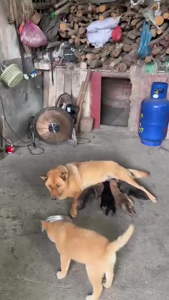 @Funny