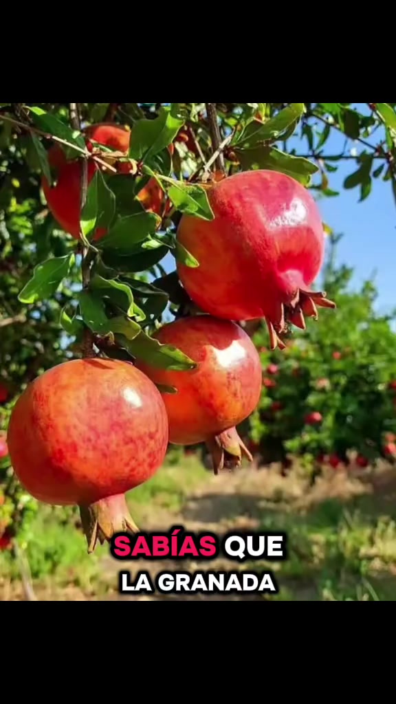 @Mery salud y reflexiones