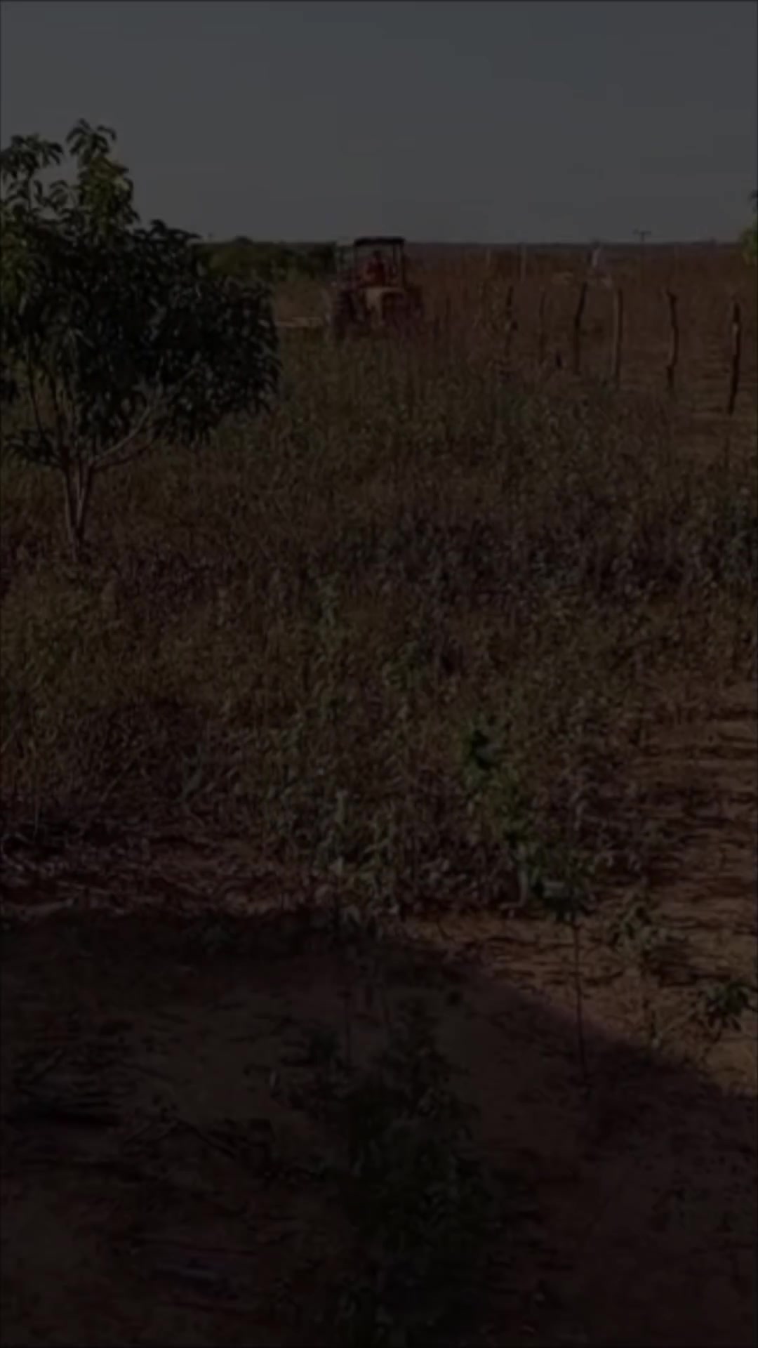 @Uedmateus | Advogado