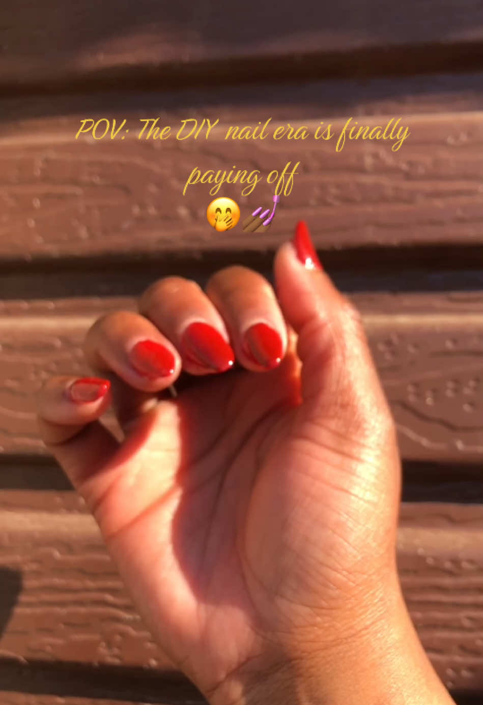 @Dintle|K🩵