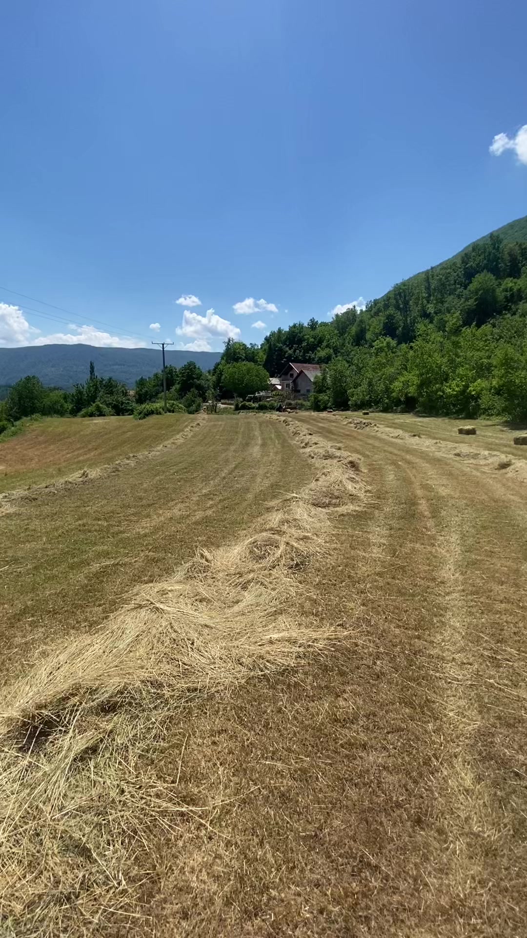 @Branko Bikarevic