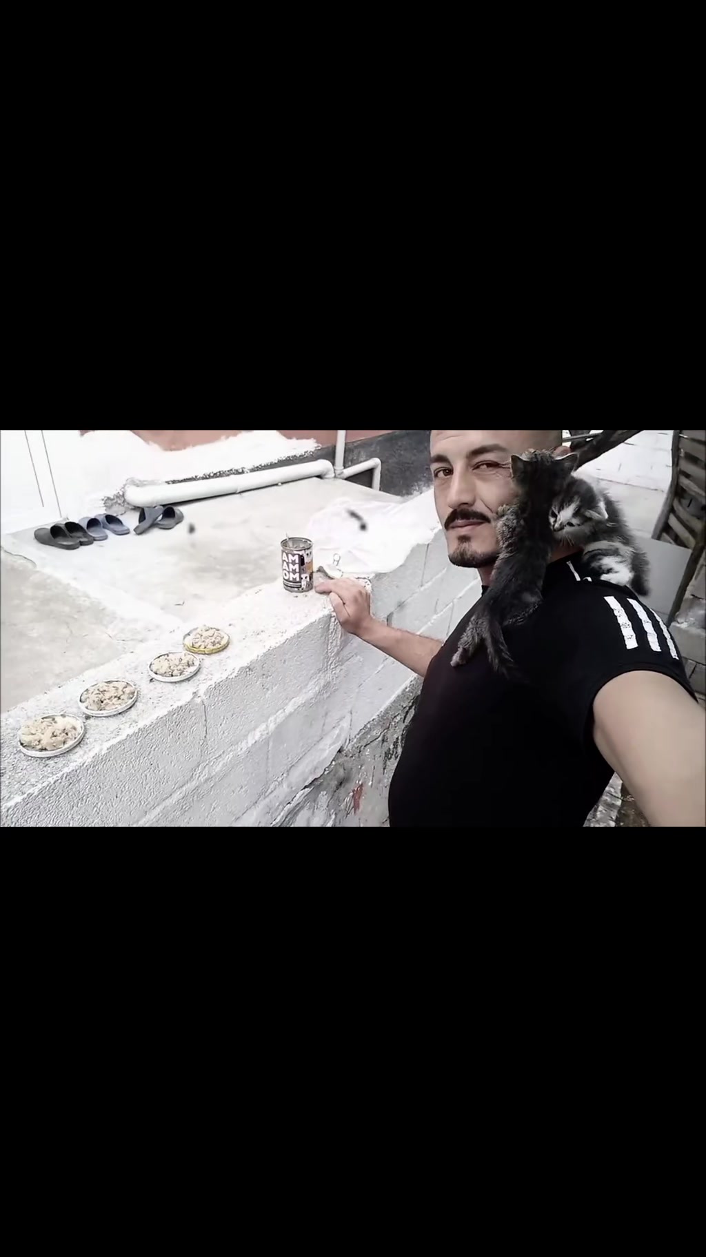 @Seyit murat doğan