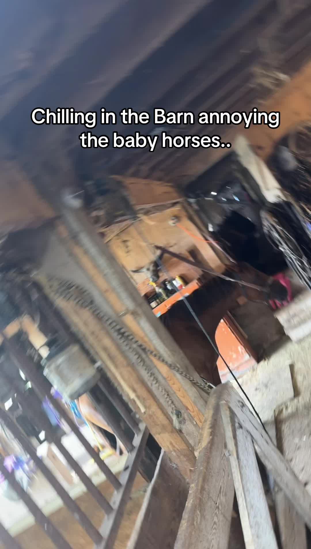 @Who0isbryanna9