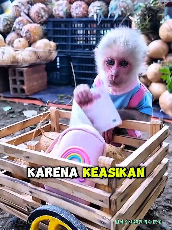 @@waypamungTV