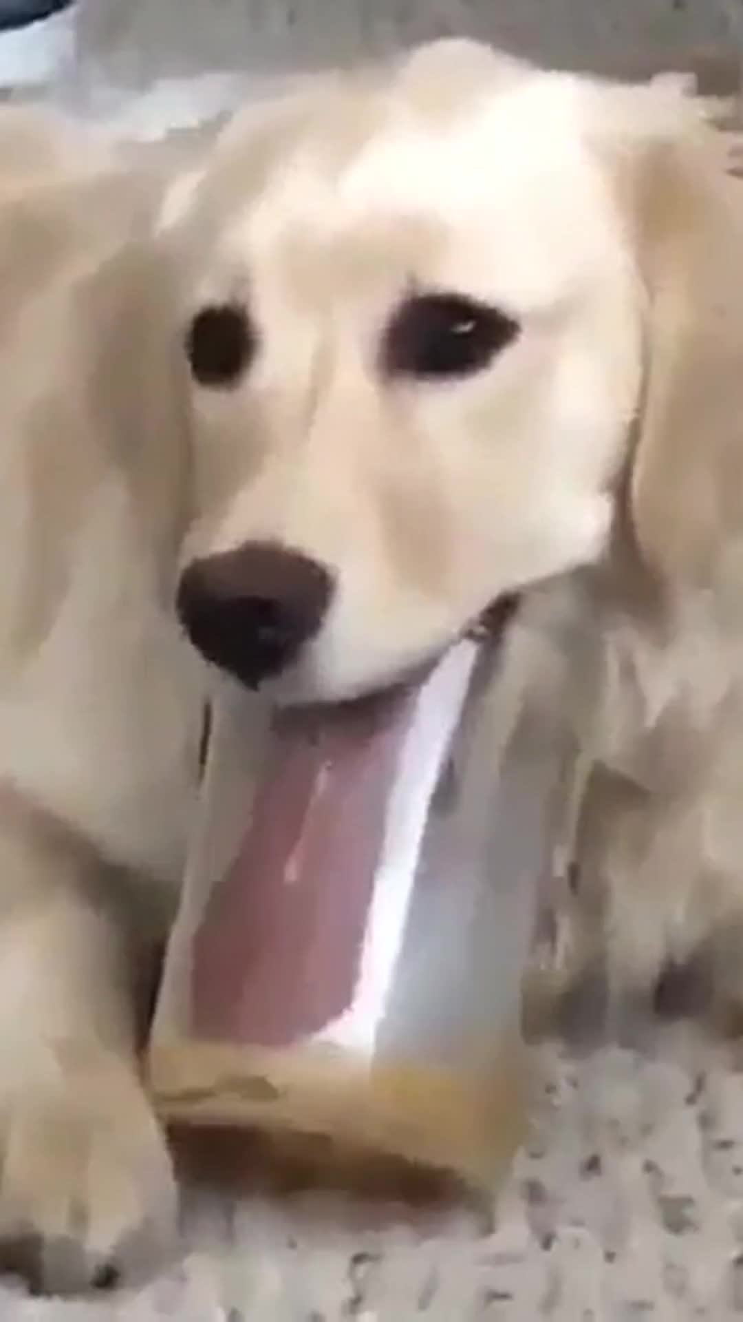 @ThaiFlash