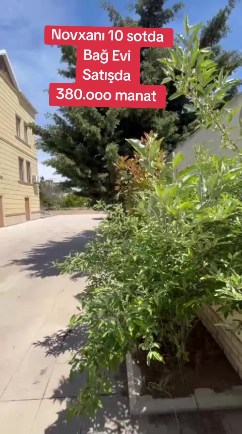 @Novxanı Emlak
