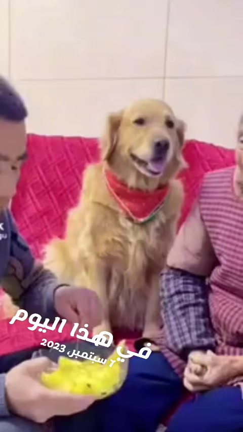 @Dr MAGDY💫🩺