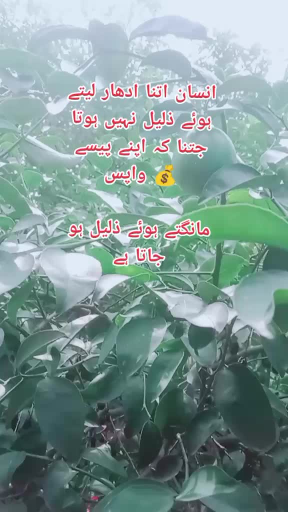 @jani jani