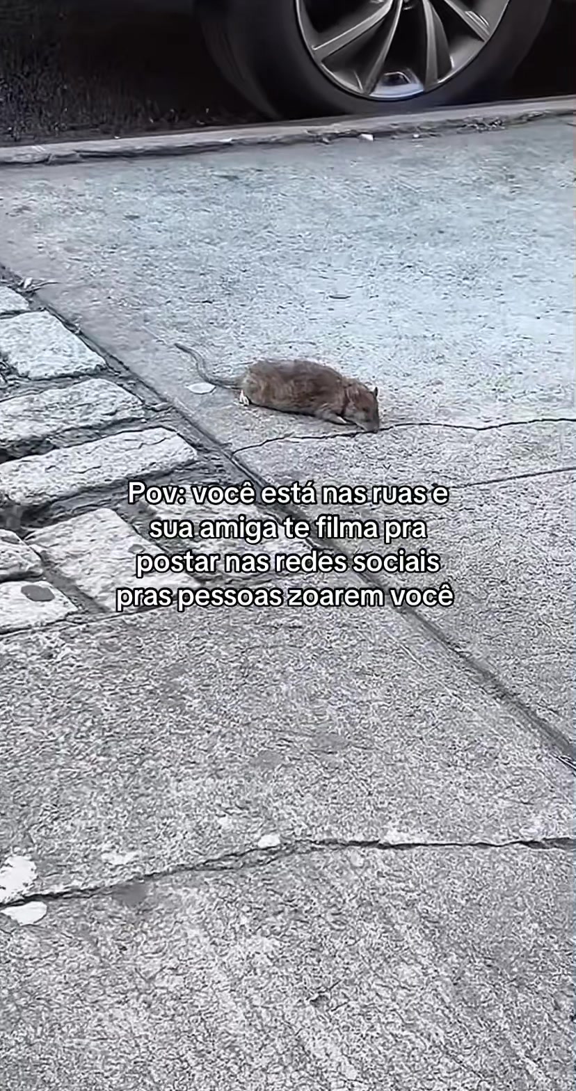 @Bom Realmente