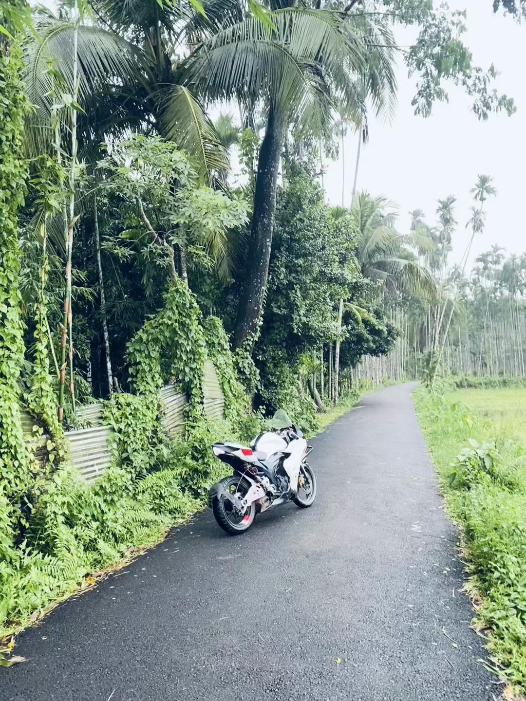 @ALAMIN BHAI 🚀