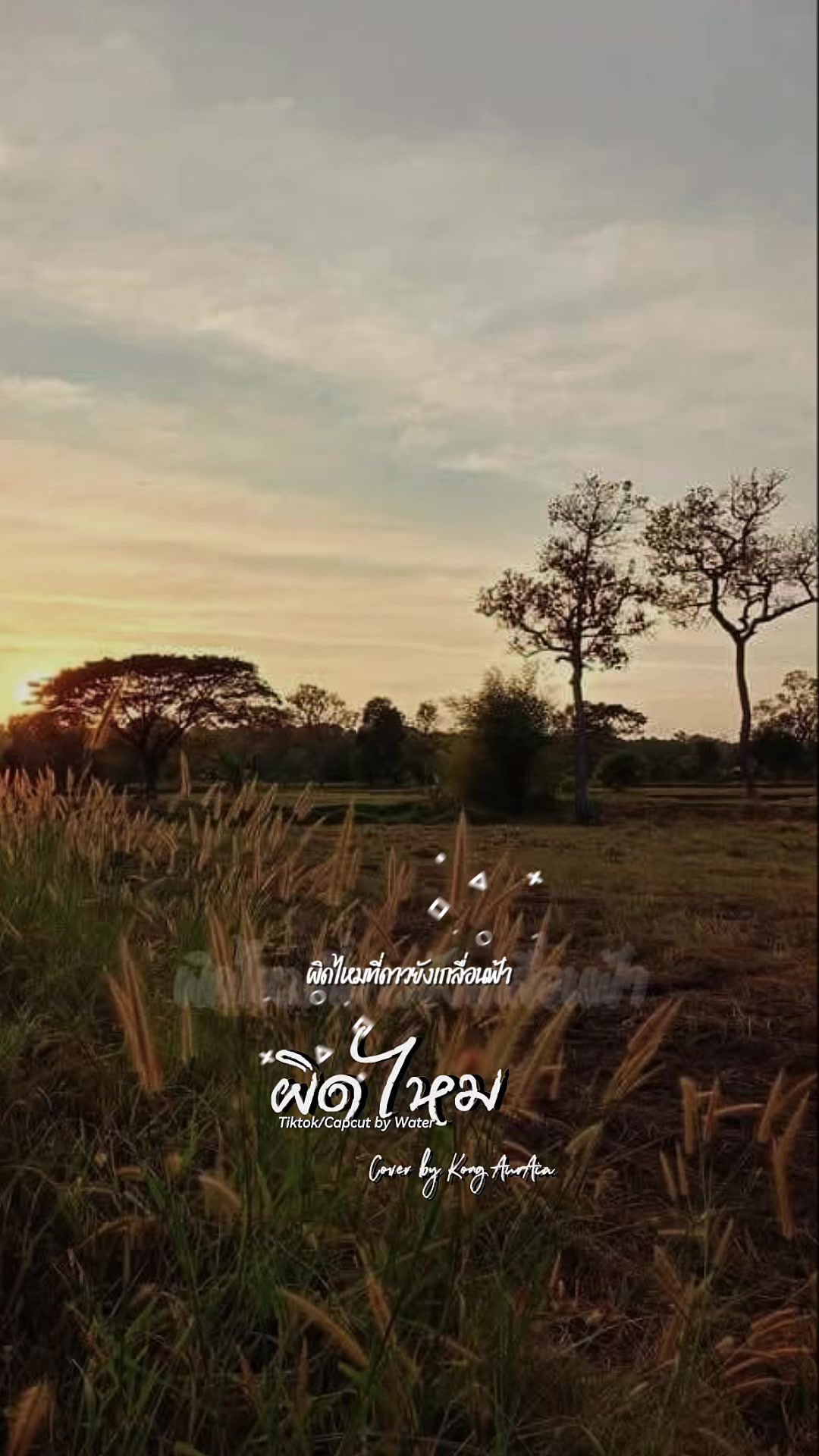 @Nid.2519💚