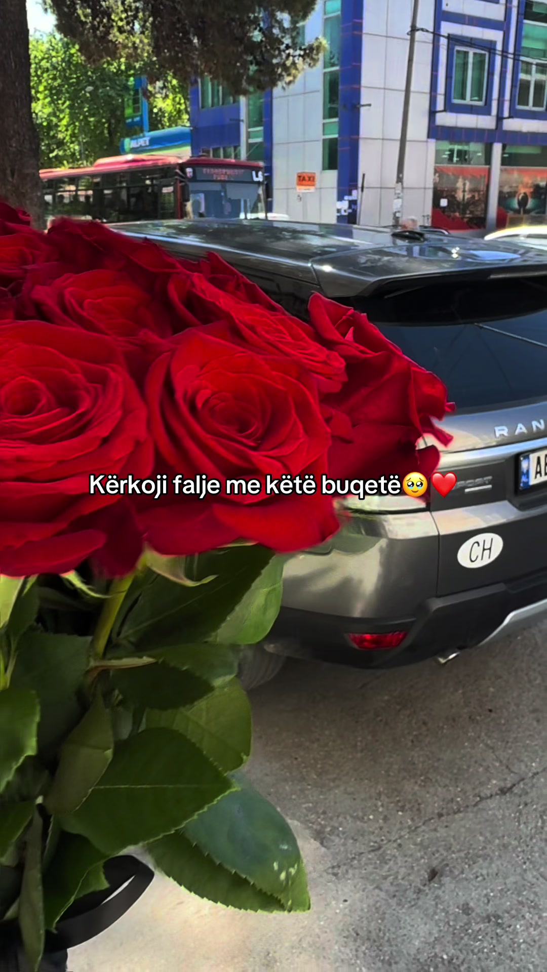 @salar_lule