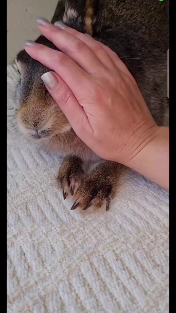 @зайка Блума💋