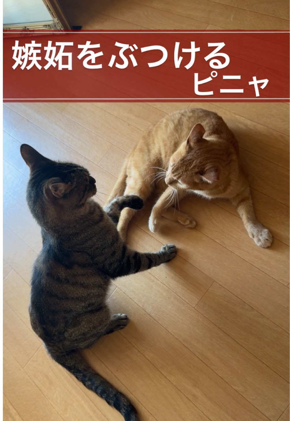 @さっことおちょ