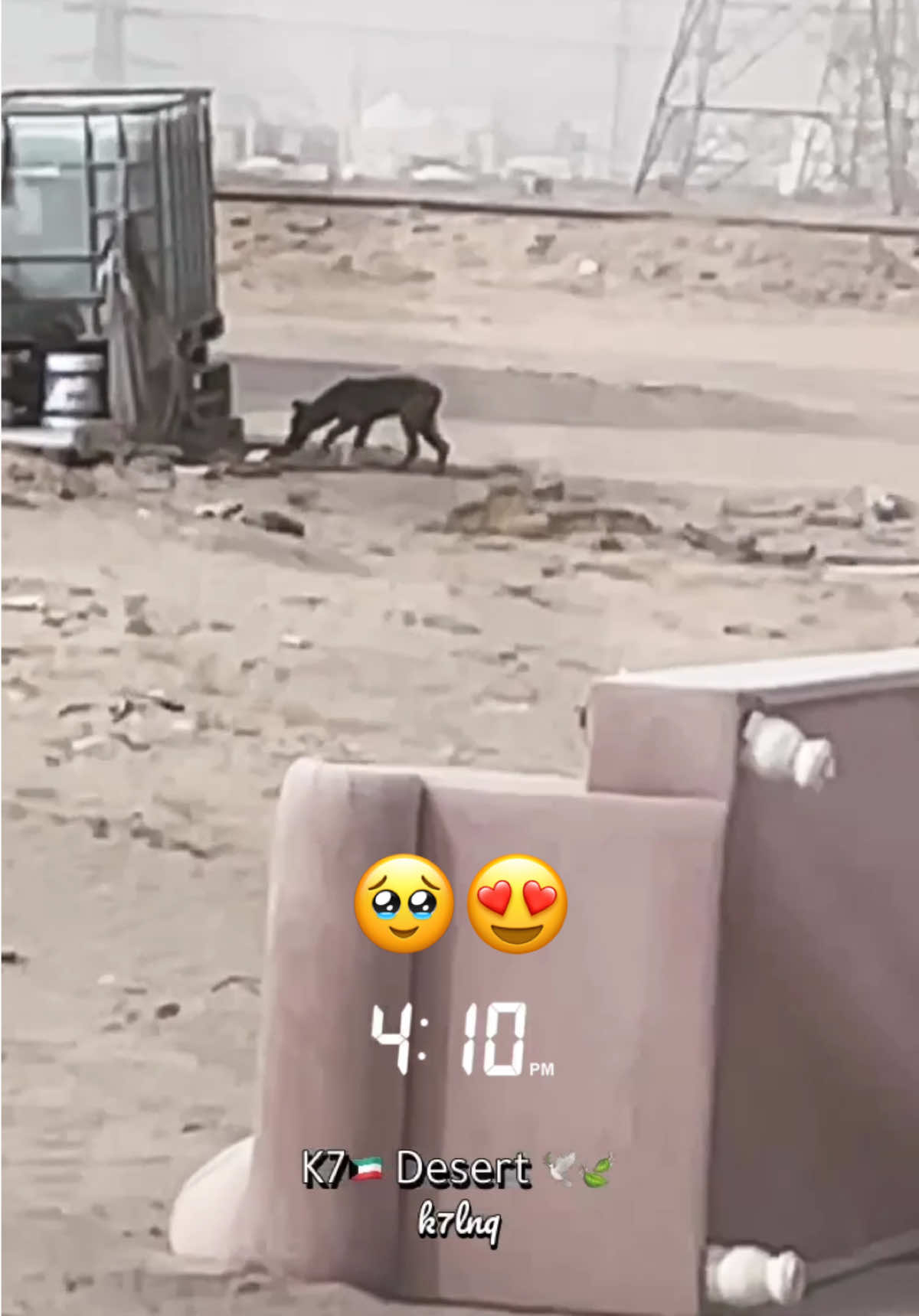 @K7🇰🇼