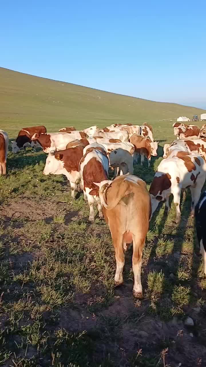 @Gökhan Çoban