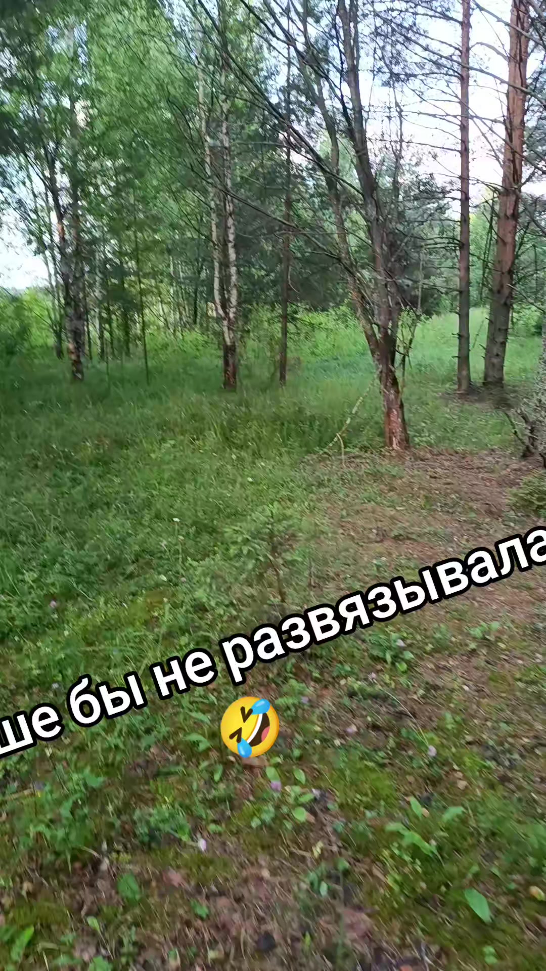 @🇷🇺bloger_76rus🇷🇺