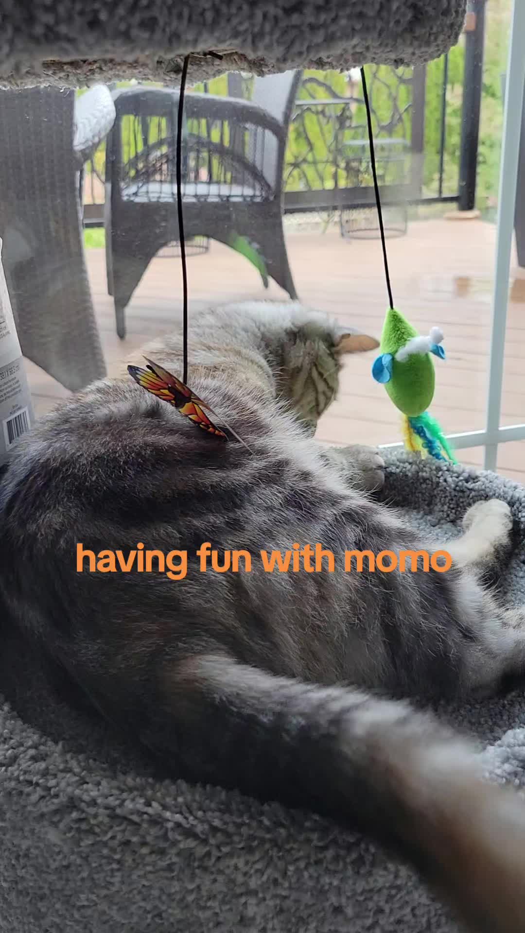 @Momo