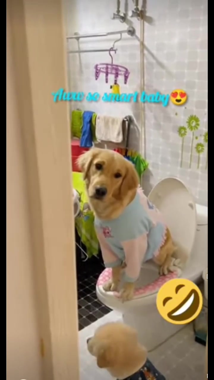 @lindajones5577