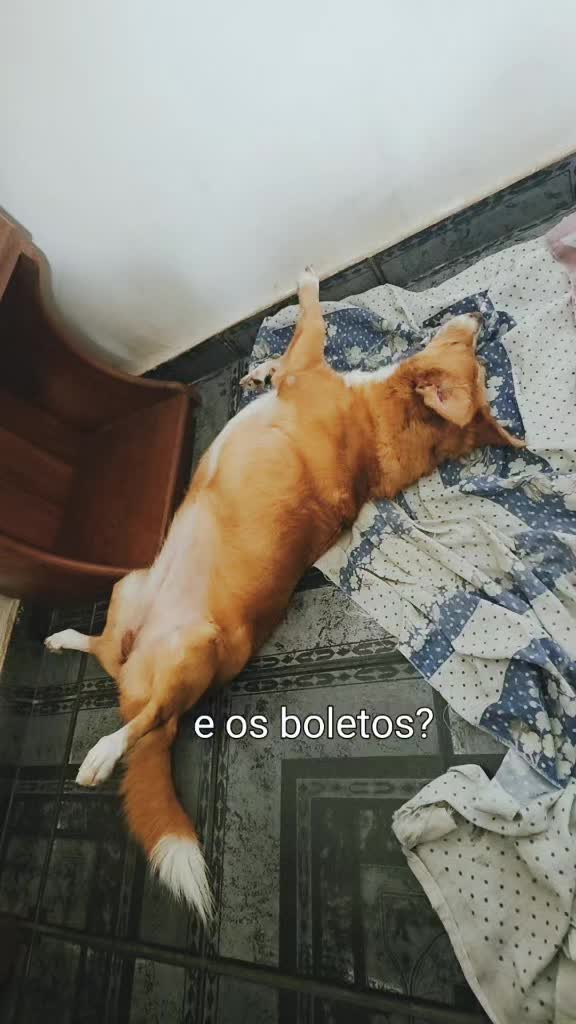 @hebe aurora