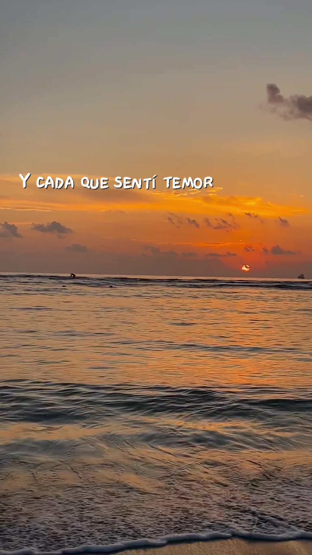 @Xoloyoxi Luna 🌙