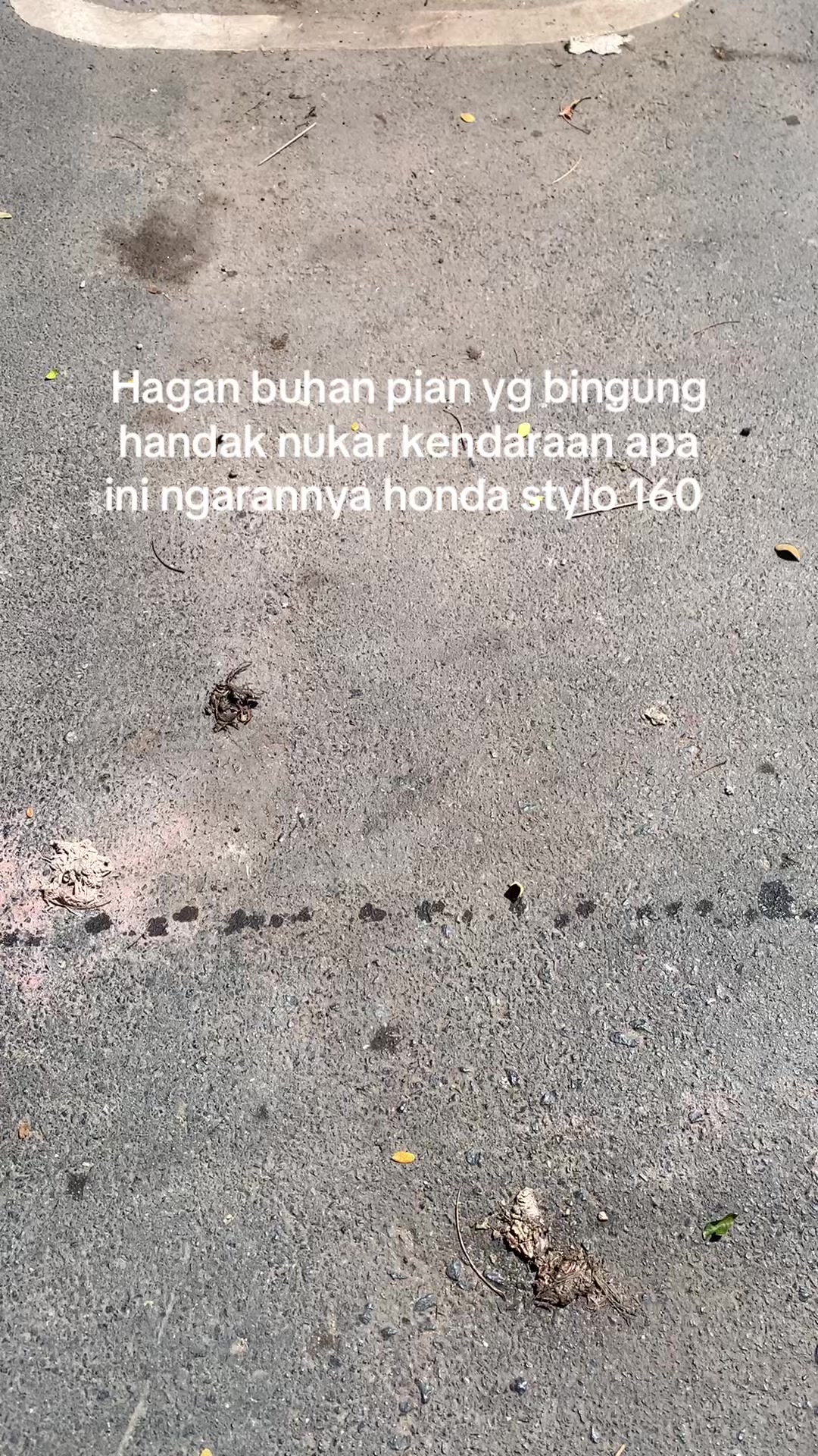 @Masnot