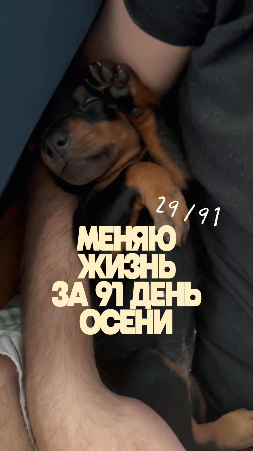 @Дари Доберс