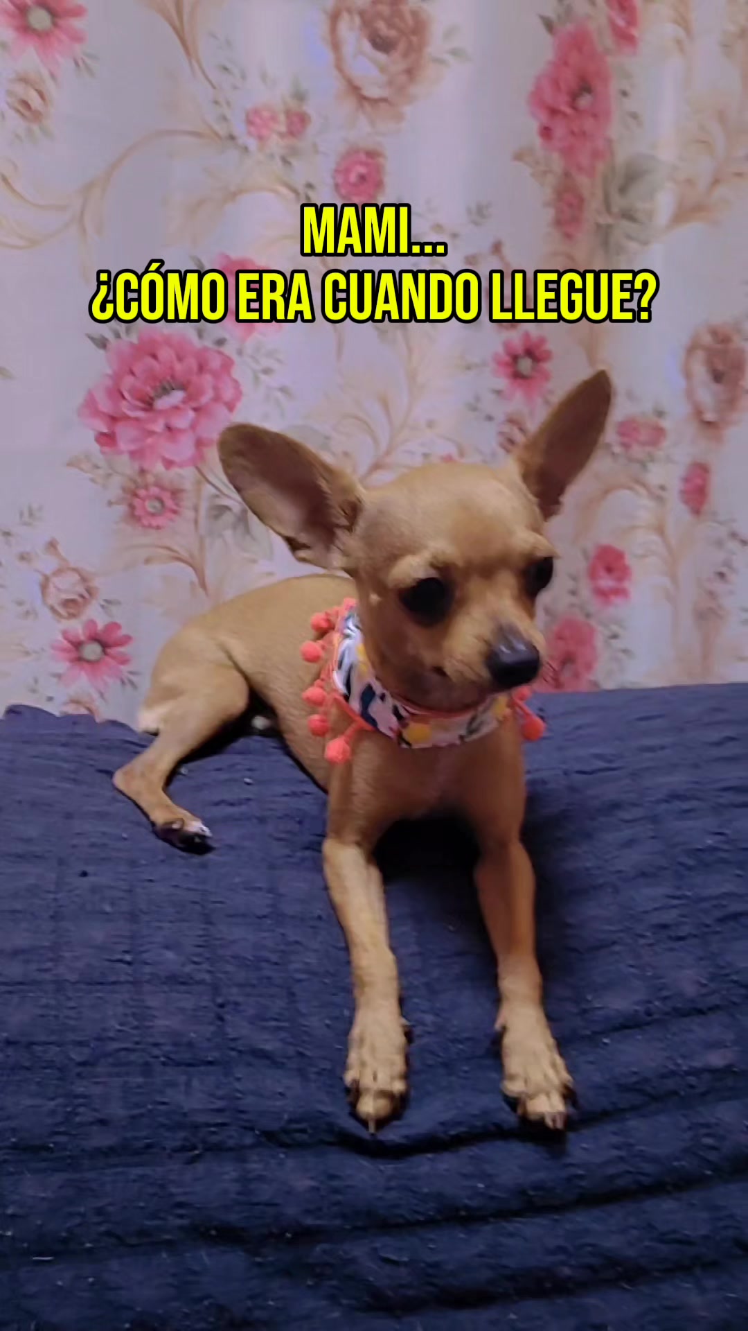 @Sara Villalobos