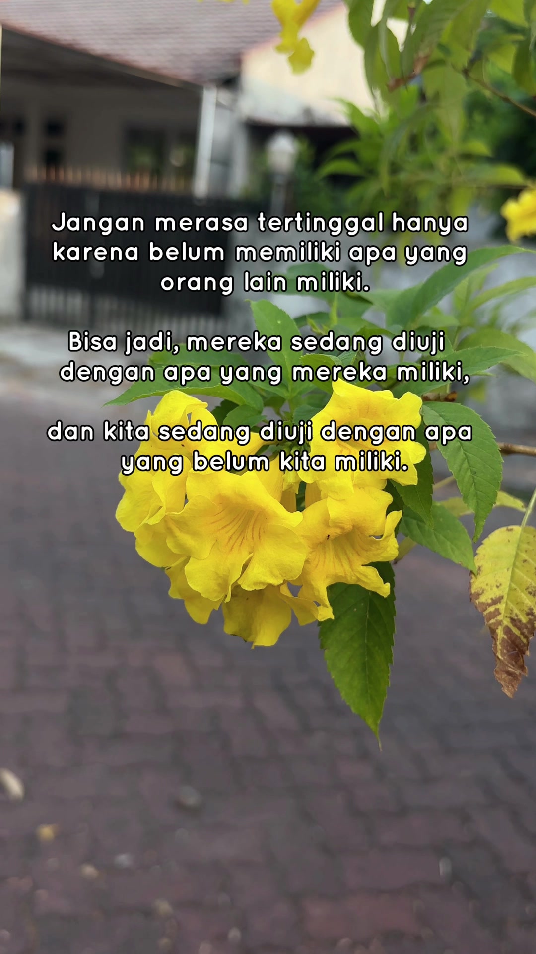 @Ulwahmardiah