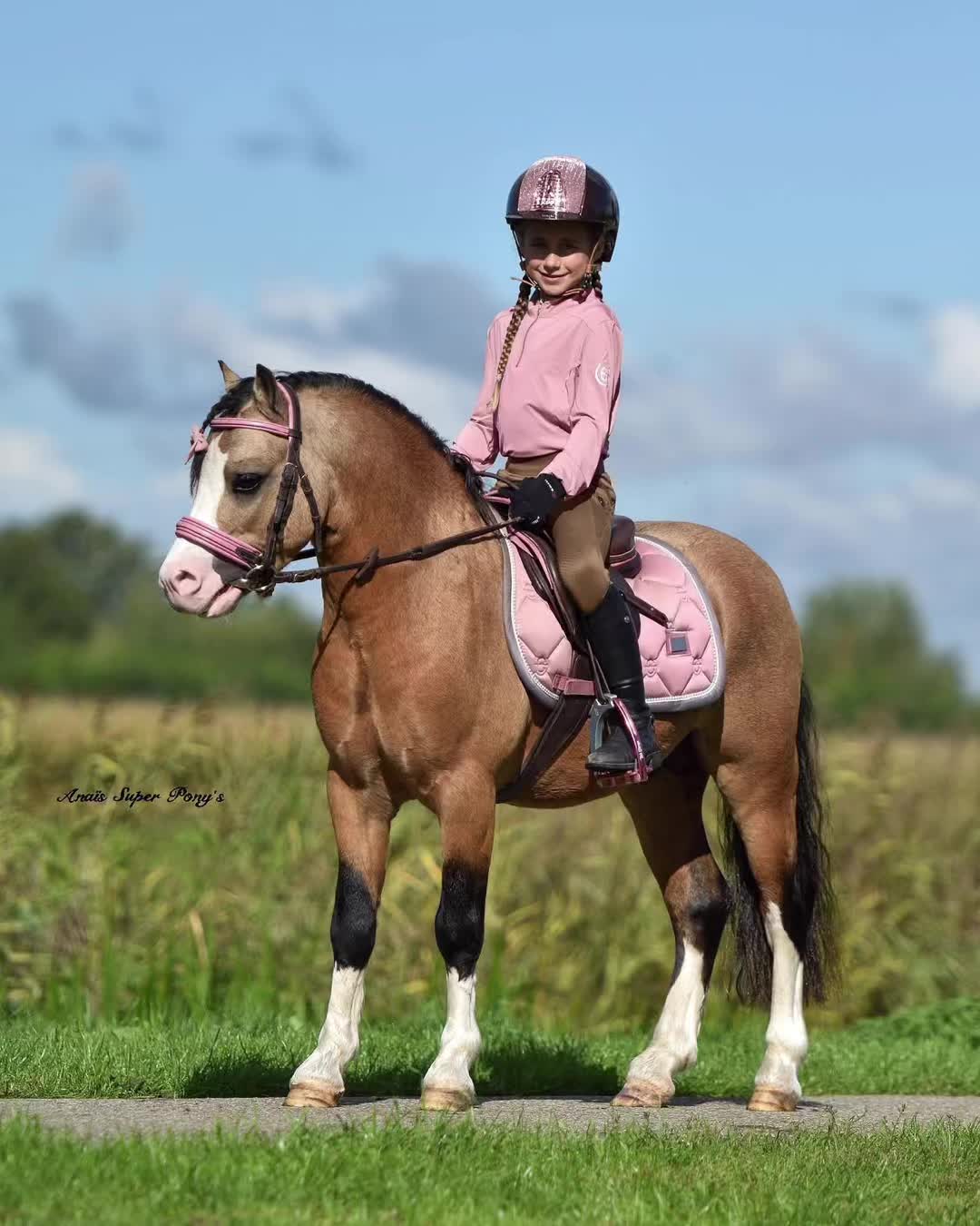 @paardplaats