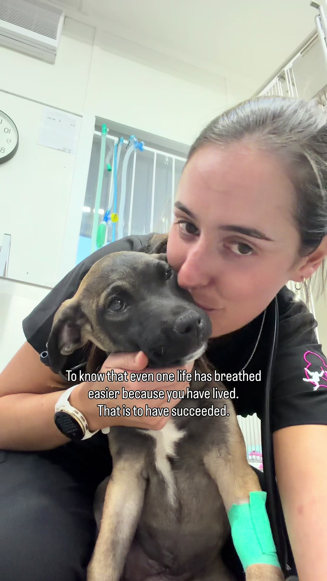 @drmegthevet