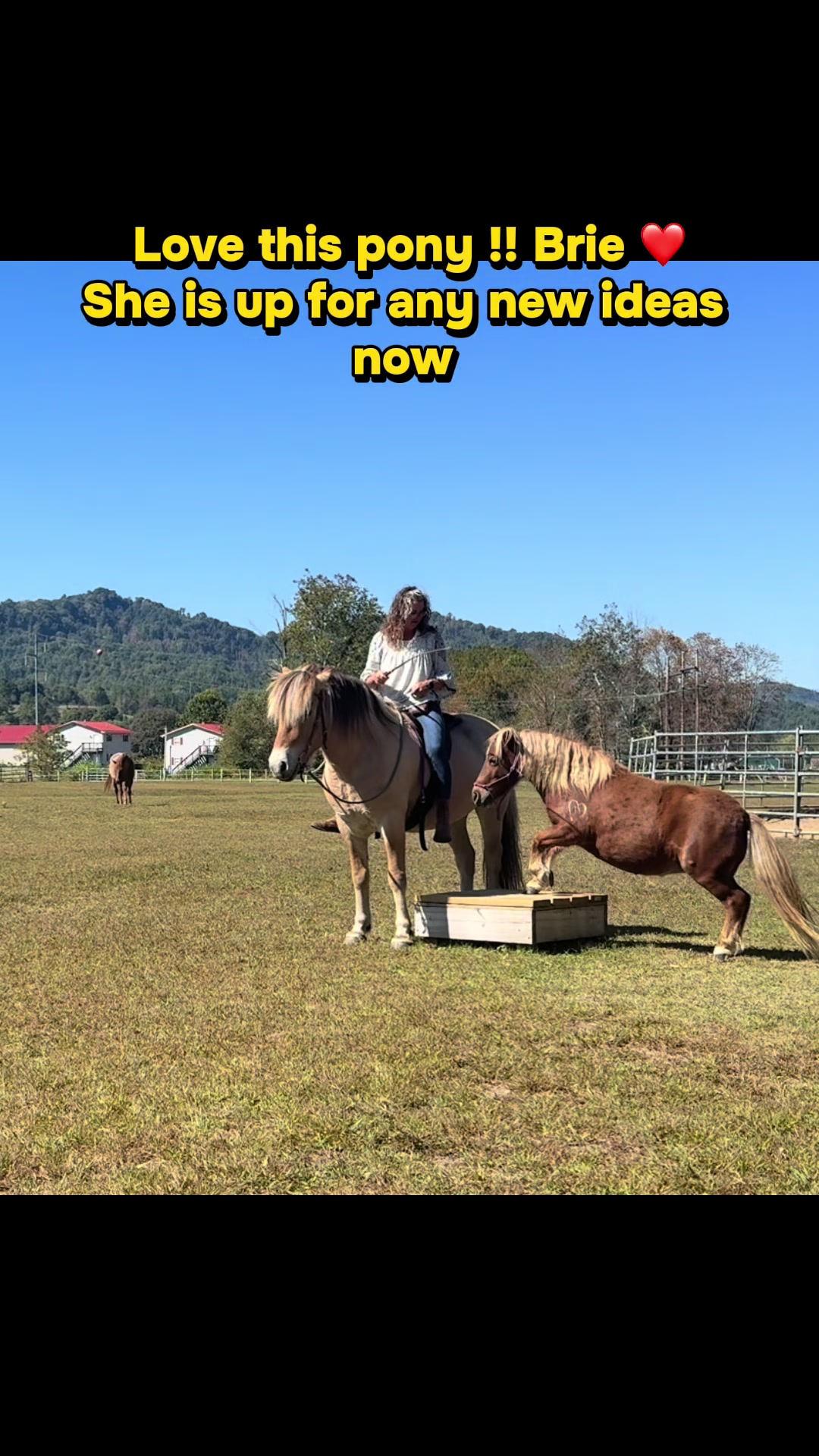 @Janet..Fuzzy.farm.gang