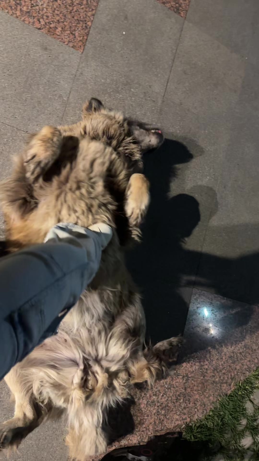 @KRISTINA 🐆