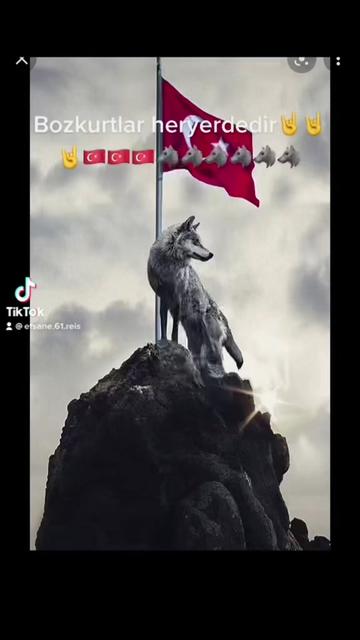 @reis 61🇹🇷🇹🇷🇹🇷🤘🤘