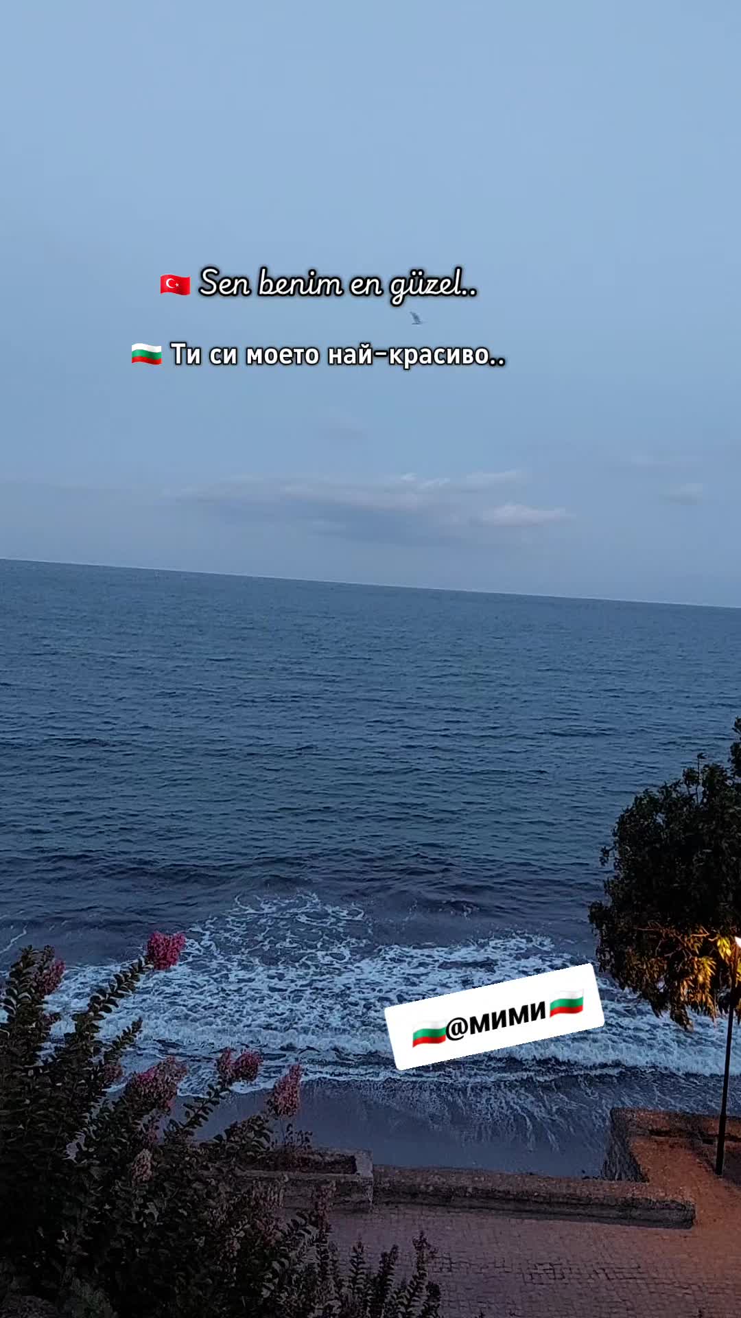 @🇧🇬✞🌸Мими🌸Михайлова®✯🇧🇬