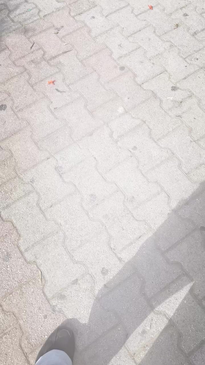 @👑 𝗕𝗠𝗪 👑