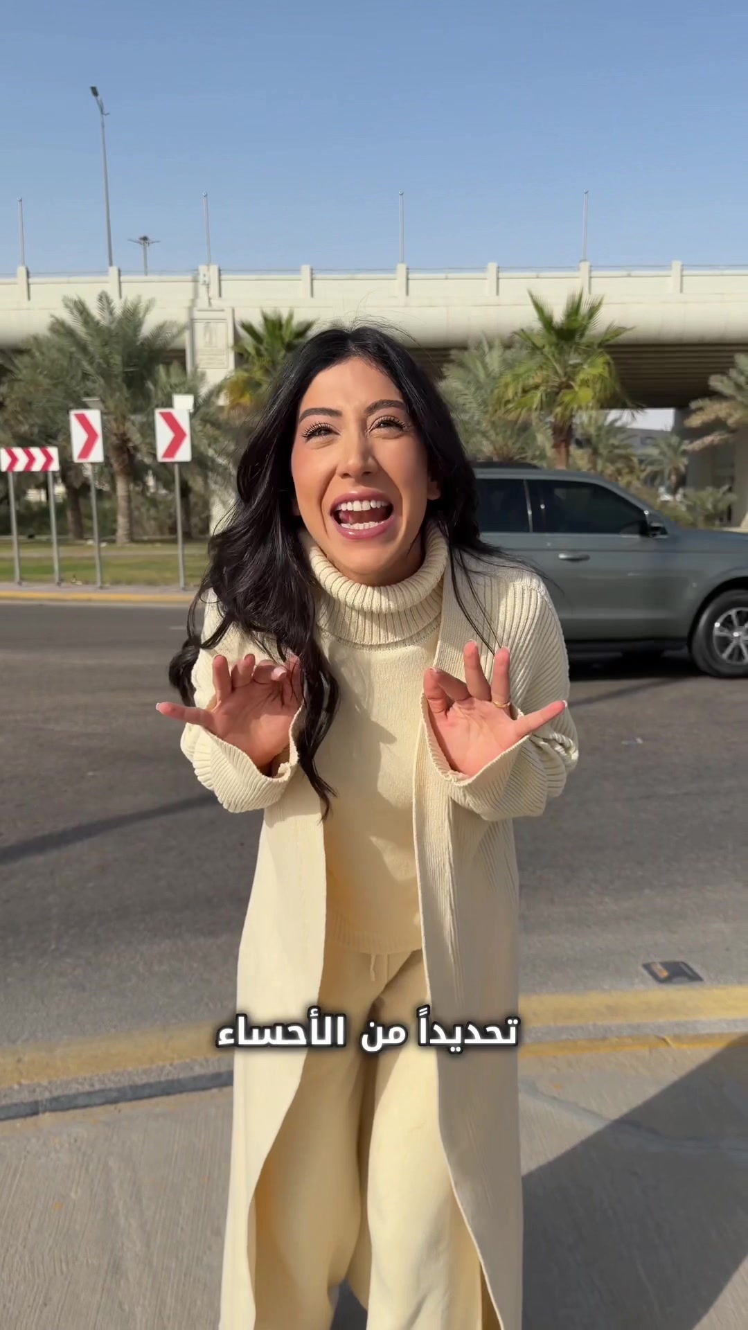 @Joyce Chamoun
