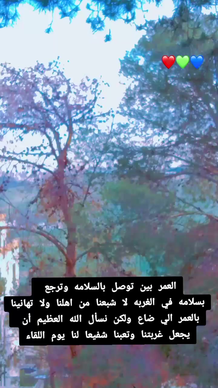 @🇸🇾بنت سورية 🇯🇴