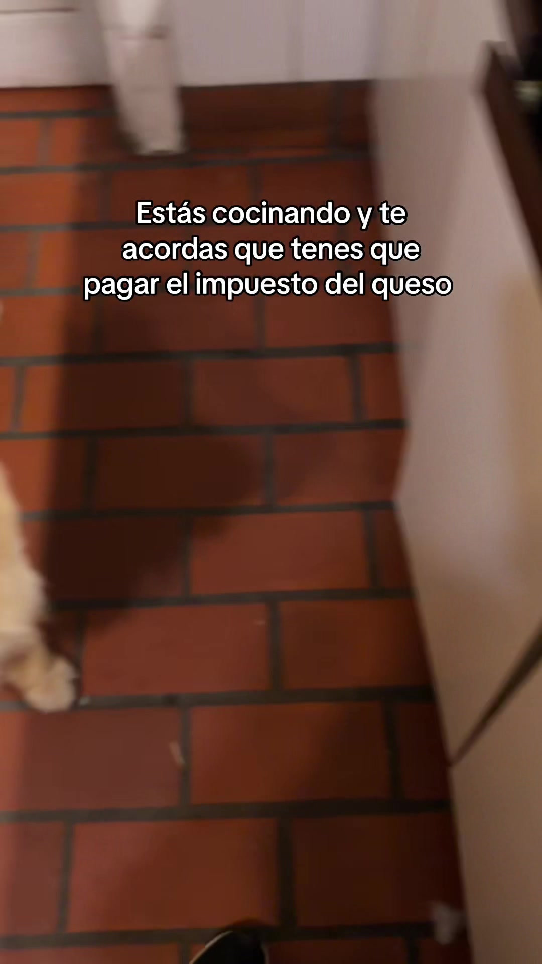 @Narco🐕🐾🐾